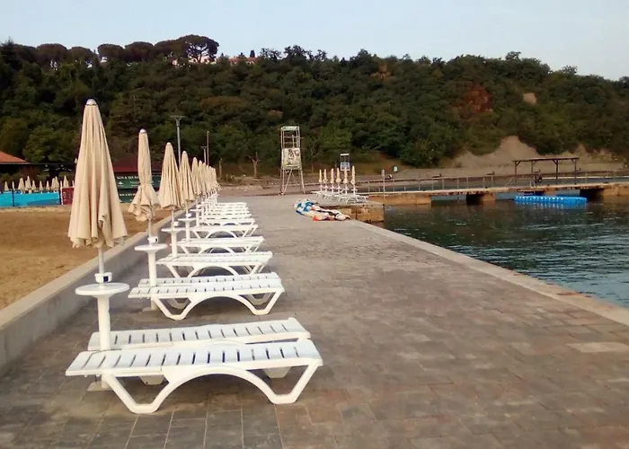 Apartma_Samy