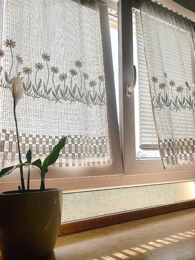 Apartment Apartma_samy *