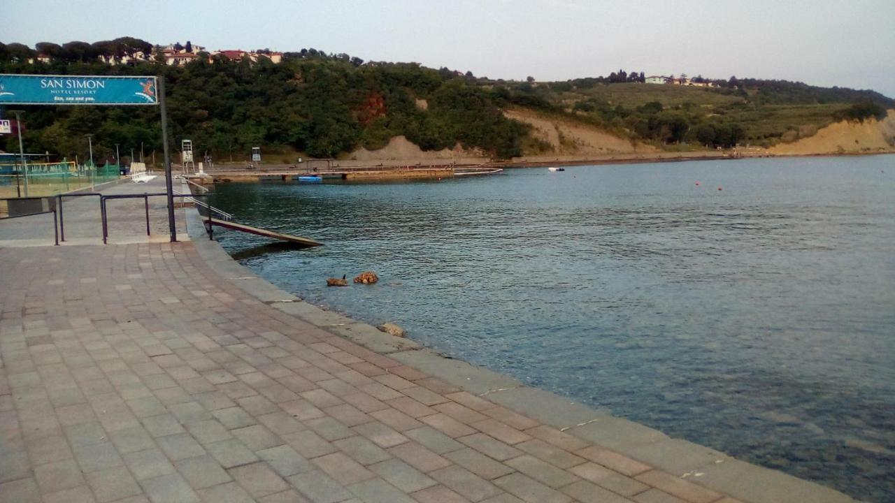 Apartma_samy Apartment