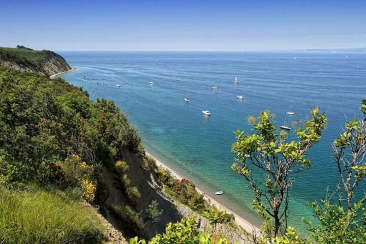 Apartma_samy Izola